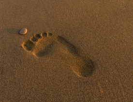 der Fußabdruck im Sand/11165988