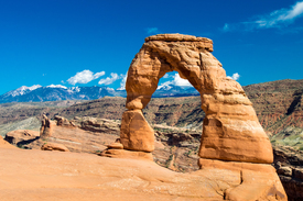 Delicate Arch/11293654