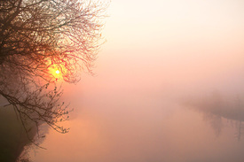 Sonnenaufgang im Nebel/11571018