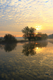 Und überall Wolken/11690932