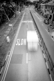 slow-fast/11782138