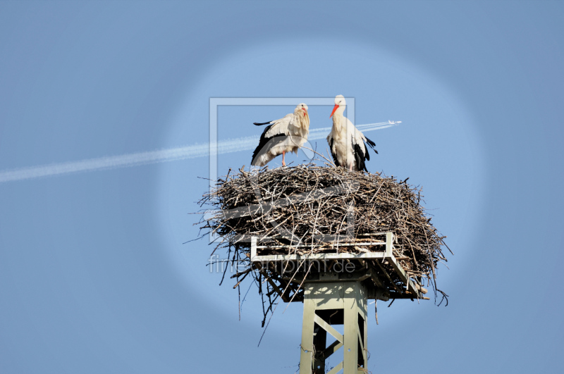 frei wählbarer Bildausschnitt für Ihr Bild auf Fensterfolie