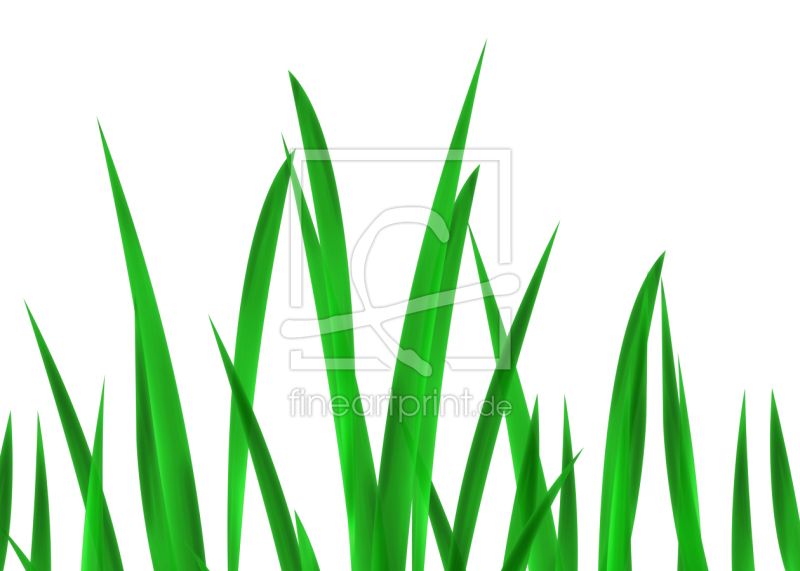 frei wählbarer Bildausschnitt für Ihr Bild auf Fensterfolie