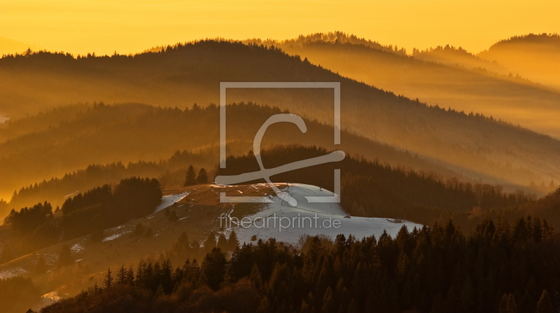 frei wählbarer Bildausschnitt für Ihr Bild auf Fensterfolie