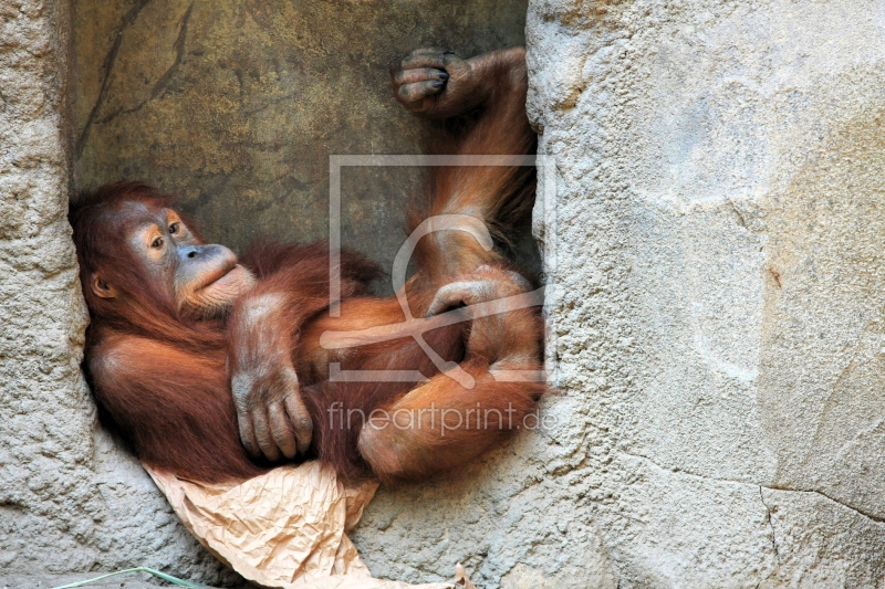 frei wählbarer Bildausschnitt für Ihr Bild auf Fensterfolie