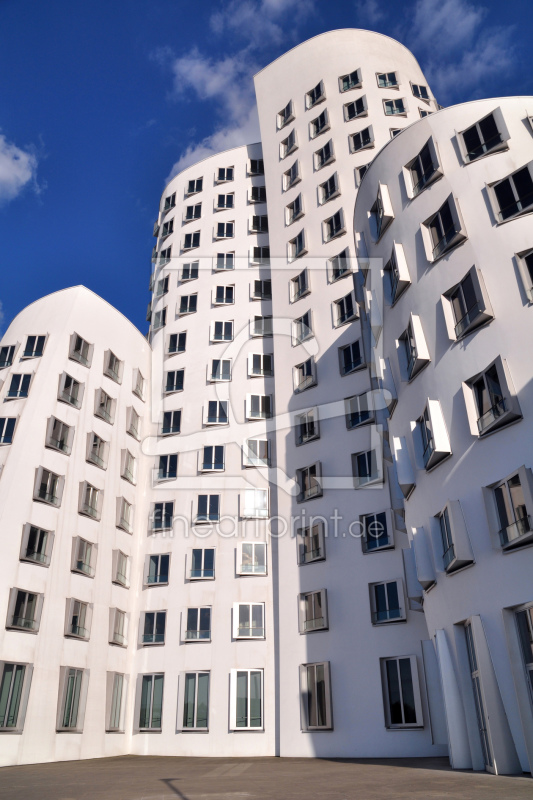 frei wählbarer Bildausschnitt für Ihr Bild auf Fensterfolie