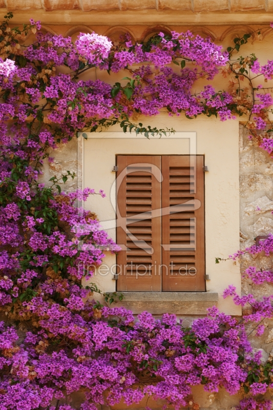 frei wählbarer Bildausschnitt für Ihr Bild auf Fensterfolie