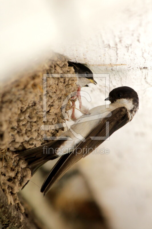 frei wählbarer Bildausschnitt für Ihr Bild auf Fensterfolie