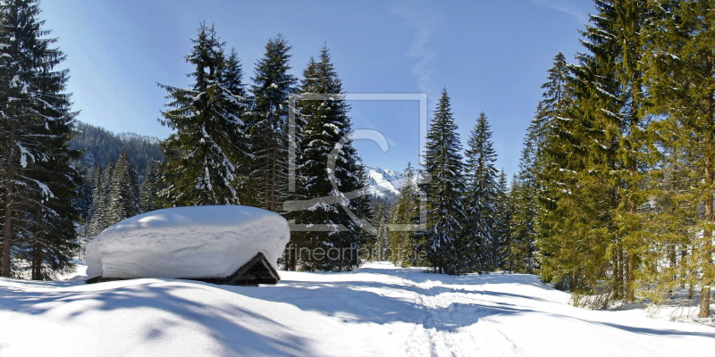 frei wählbarer Bildausschnitt für Ihr Bild auf Fensterfolie