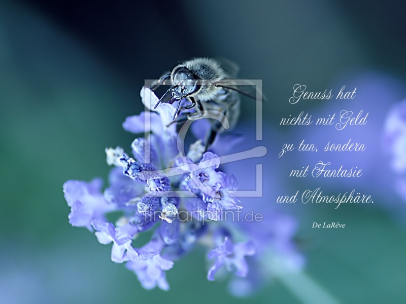 frei wählbarer Bildausschnitt für Ihr Bild auf Fensterfolie