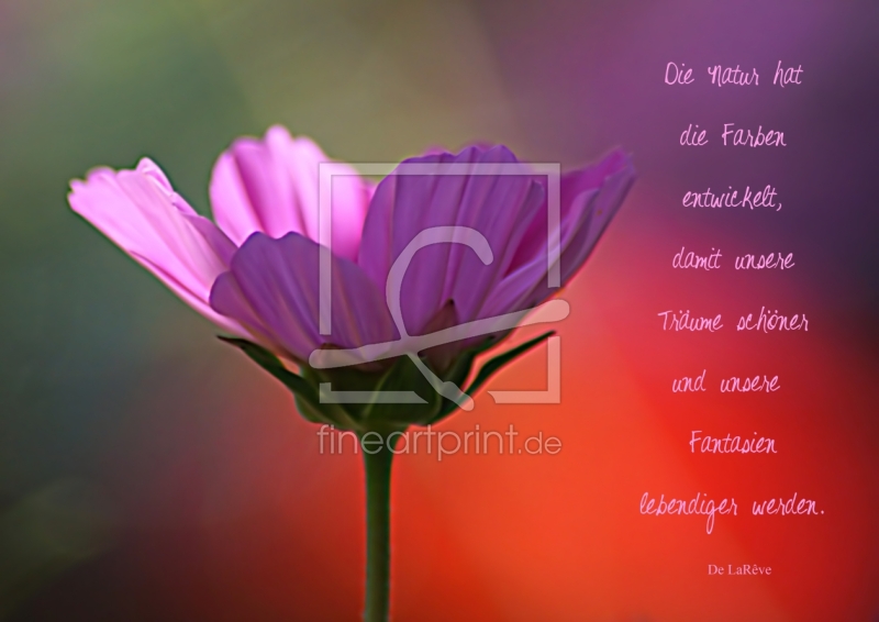 frei wählbarer Bildausschnitt für Ihr Bild auf Fensterfolie