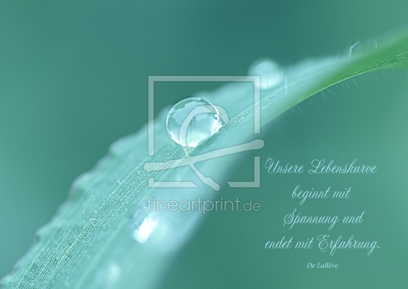 frei wählbarer Bildausschnitt für Ihr Bild auf Fensterfolie