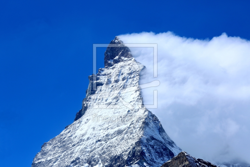 frei wählbarer Bildausschnitt für Ihr Bild auf Fensterfolie