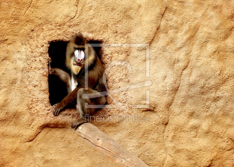 frei wählbarer Bildausschnitt für Ihr Bild auf Fensterfolie
