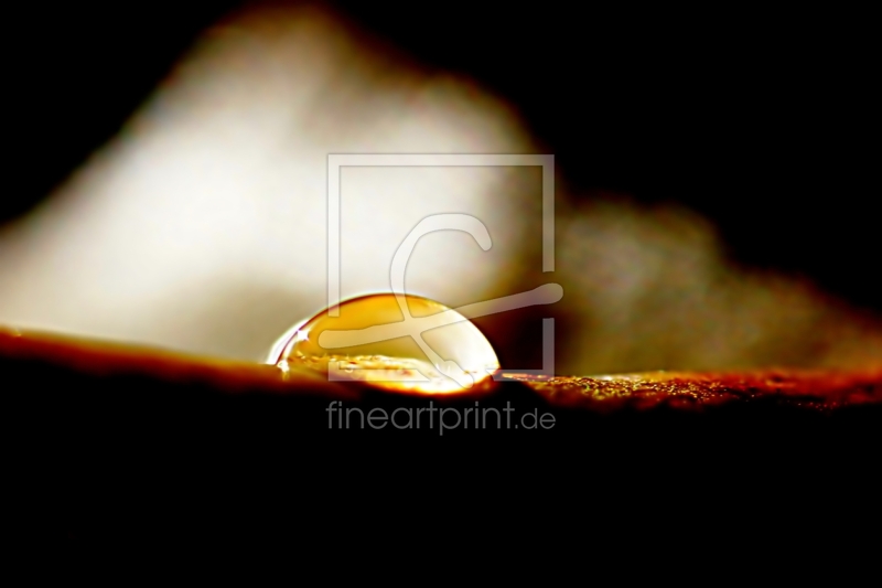 frei wählbarer Bildausschnitt für Ihr Bild auf Fensterfolie