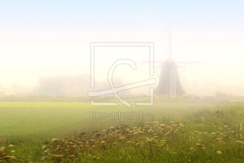 frei wählbarer Bildausschnitt für Ihr Bild auf Fensterfolie