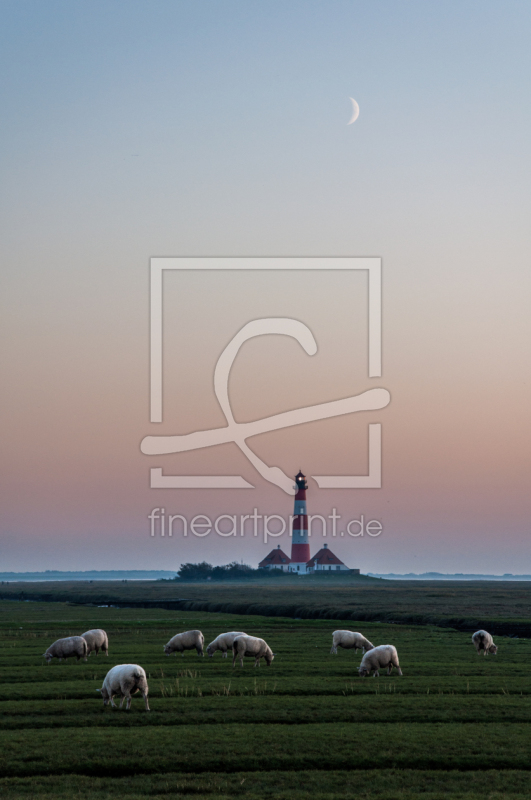 frei wählbarer Bildausschnitt für Ihr Bild auf Fensterfolie