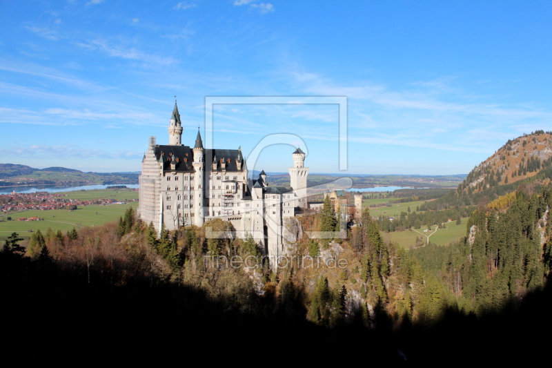 frei wählbarer Bildausschnitt für Ihr Bild auf Fensterfolie