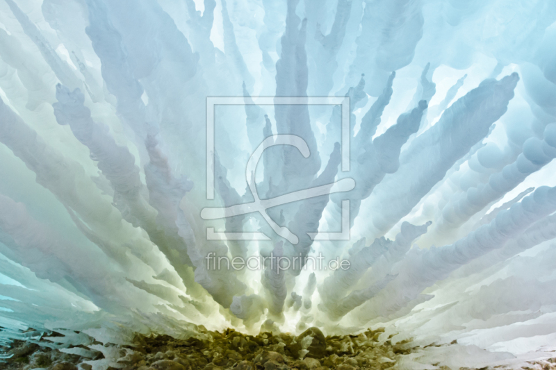 frei wählbarer Bildausschnitt für Ihr Bild auf Fensterfolie