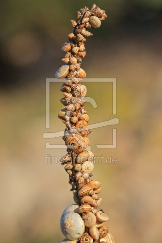 frei wählbarer Bildausschnitt für Ihr Bild auf Fensterfolie