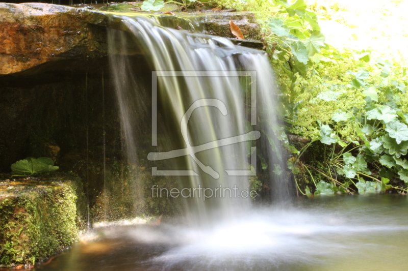frei wählbarer Bildausschnitt für Ihr Bild auf Fensterfolie