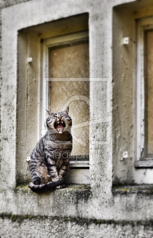 frei wählbarer Bildausschnitt für Ihr Bild auf Fensterfolie
