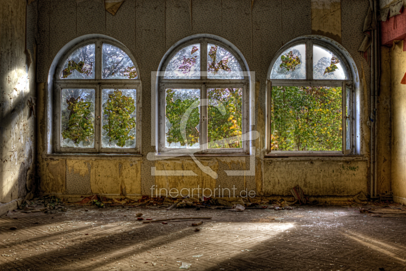 frei wählbarer Bildausschnitt für Ihr Bild auf Fensterfolie