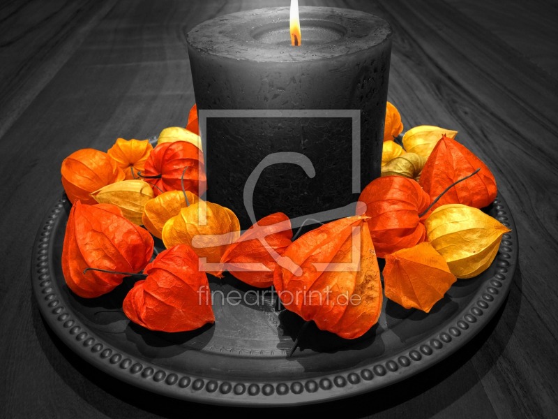 frei wählbarer Bildausschnitt für Ihr Bild auf Fensterfolie