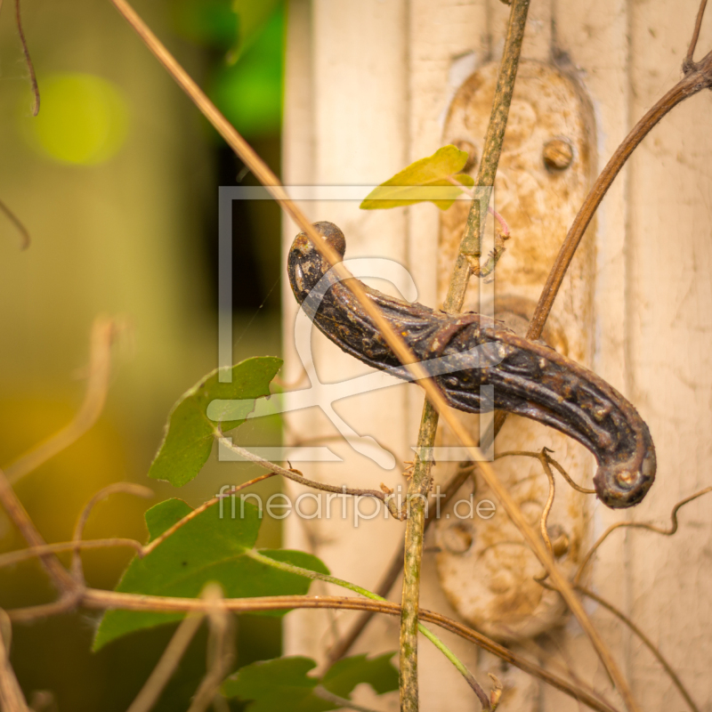 frei wählbarer Bildausschnitt für Ihr Bild auf Fensterfolie