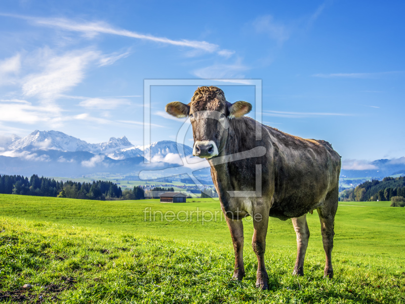 frei wählbarer Bildausschnitt für Ihr Bild auf Fensterfolie