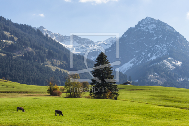 frei wählbarer Bildausschnitt für Ihr Bild auf Fensterfolie