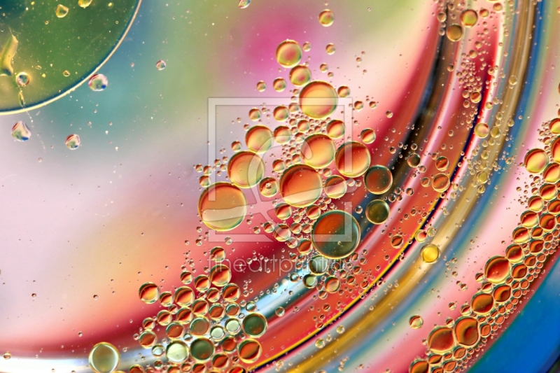 frei wählbarer Bildausschnitt für Ihr Bild auf Fensterfolie