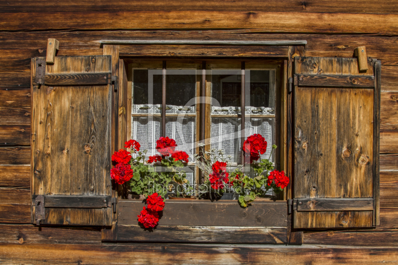 frei wählbarer Bildausschnitt für Ihr Bild auf Fensterfolie