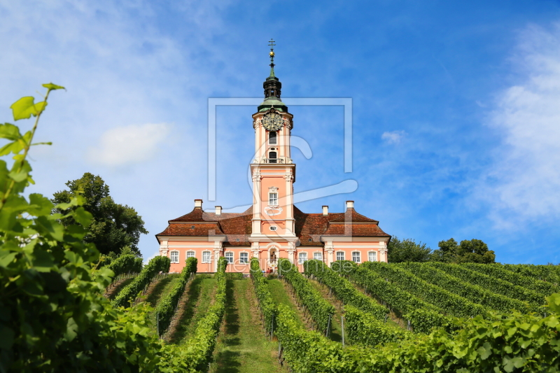 frei wählbarer Bildausschnitt für Ihr Bild auf Fensterfolie