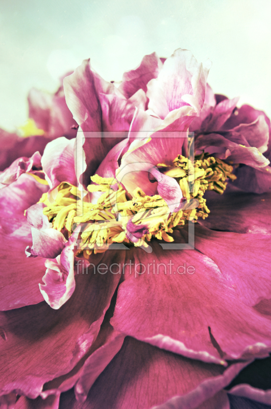 frei wählbarer Bildausschnitt für Ihr Bild auf Fensterfolie