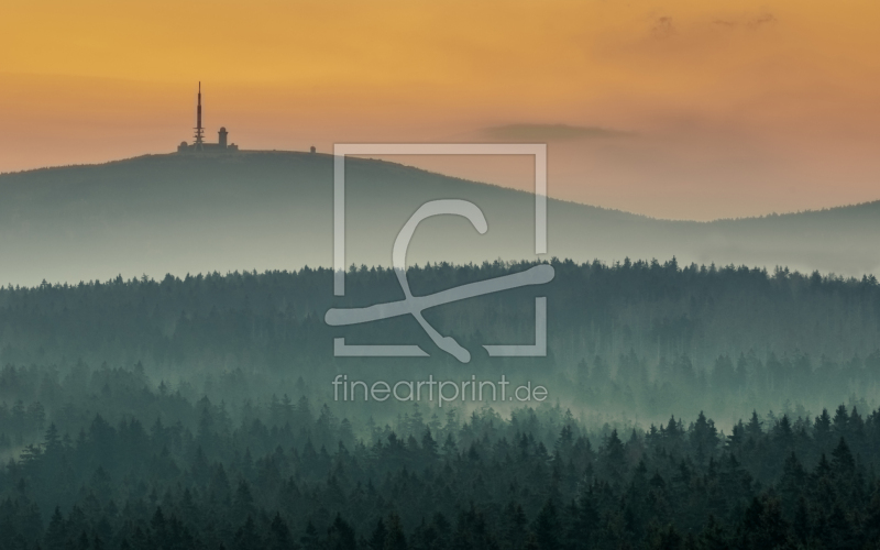 frei wählbarer Bildausschnitt für Ihr Bild auf Fensterfolie