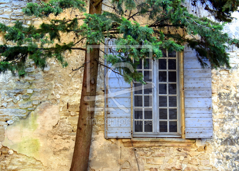 frei wählbarer Bildausschnitt für Ihr Bild auf Fensterfolie