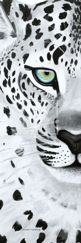 frei wählbarer Bildausschnitt für Ihr Bild auf Fensterfolie