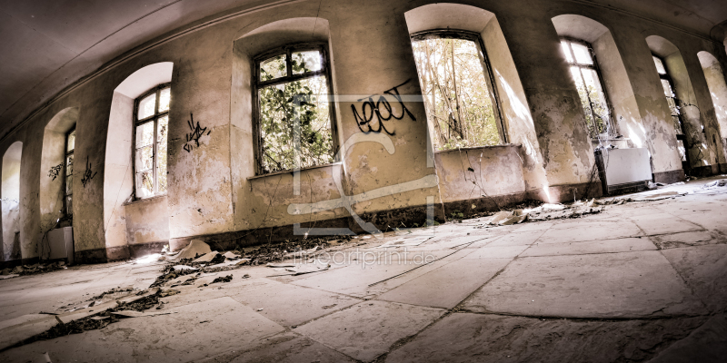 frei wählbarer Bildausschnitt für Ihr Bild auf Fensterfolie