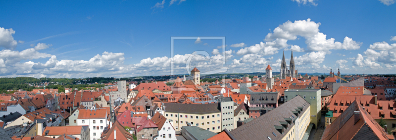 frei wählbarer Bildausschnitt für Ihr Bild auf Fensterfolie