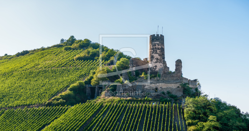 frei wählbarer Bildausschnitt für Ihr Bild auf Fensterfolie