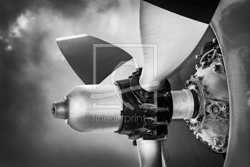 frei wählbarer Bildausschnitt für Ihr Bild auf Fensterfolie