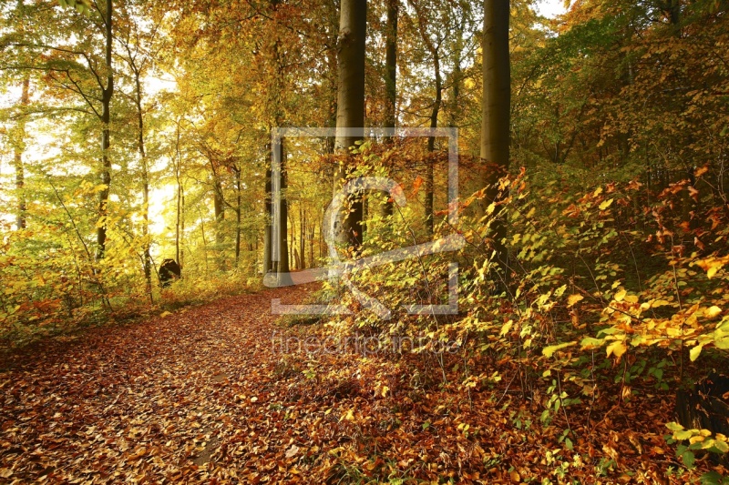 frei wählbarer Bildausschnitt für Ihr Bild auf Fensterfolie