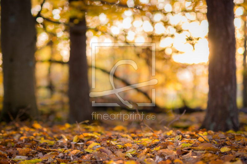 frei wählbarer Bildausschnitt für Ihr Bild auf Fensterfolie