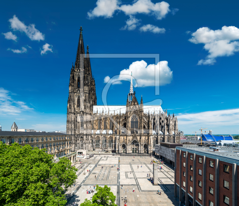 frei wählbarer Bildausschnitt für Ihr Bild auf Fensterfolie