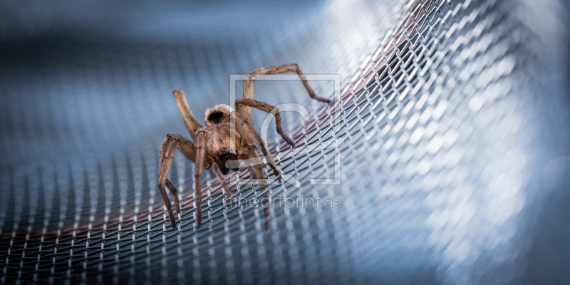 frei wählbarer Bildausschnitt für Ihr Bild auf Fensterfolie