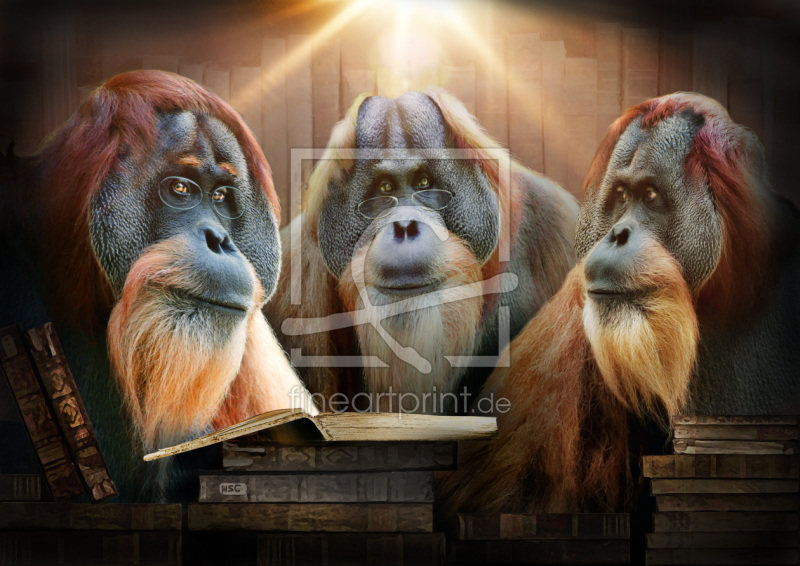 frei wählbarer Bildausschnitt für Ihr Bild auf Fensterfolie