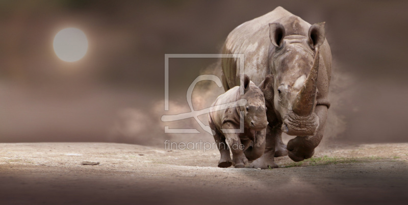 frei wählbarer Bildausschnitt für Ihr Bild auf Fensterfolie