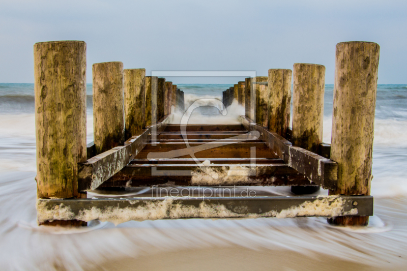 frei wählbarer Bildausschnitt für Ihr Bild auf Fensterfolie