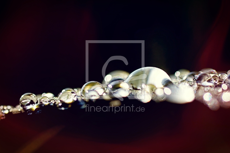 frei wählbarer Bildausschnitt für Ihr Bild auf Fensterfolie